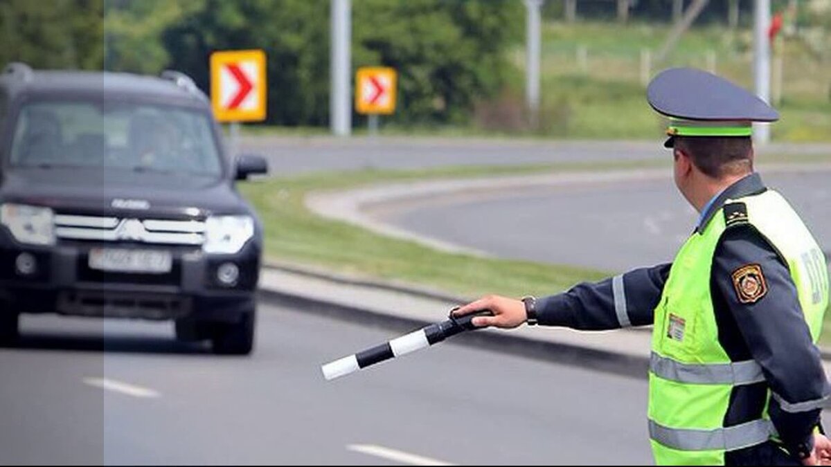 Фото: speedcam.online