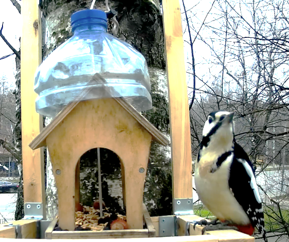 Фото из собственного архива