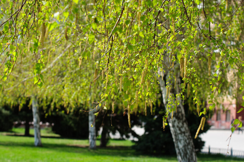 Фото Виктора Ястребова vyastrebov.livejournal.com