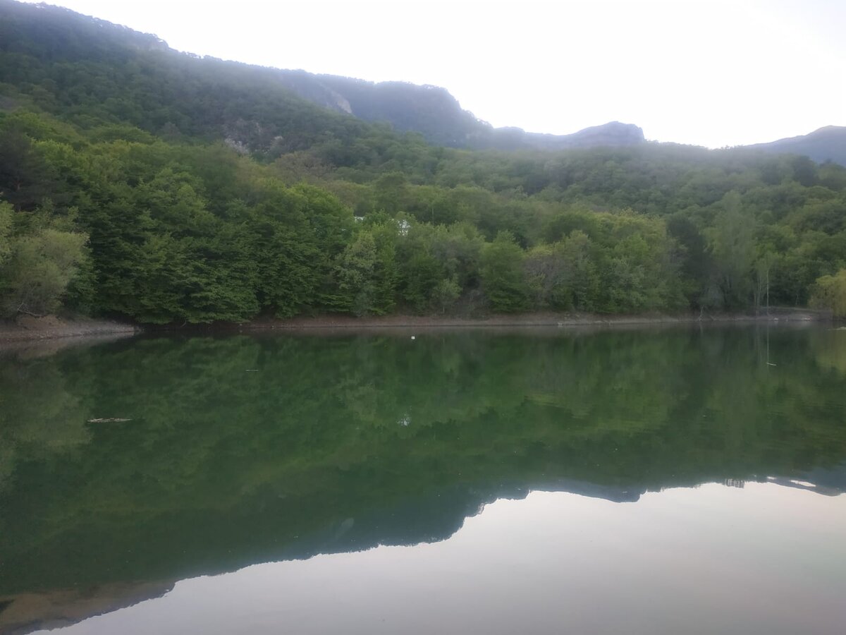 Подпишитесь, что бы не пропустить новые истории Василия! :)