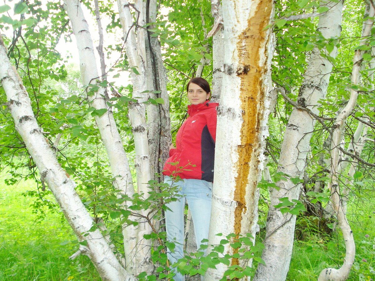 Обними березку. Обнимает березу. Любнимает бюерезу. Фотосессия в березах. Девушка обнимает березку.