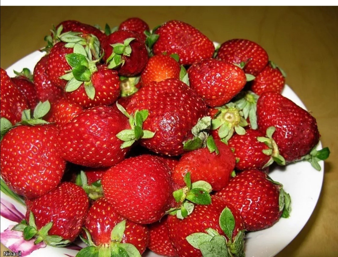 Хороша..  Фото яндекс