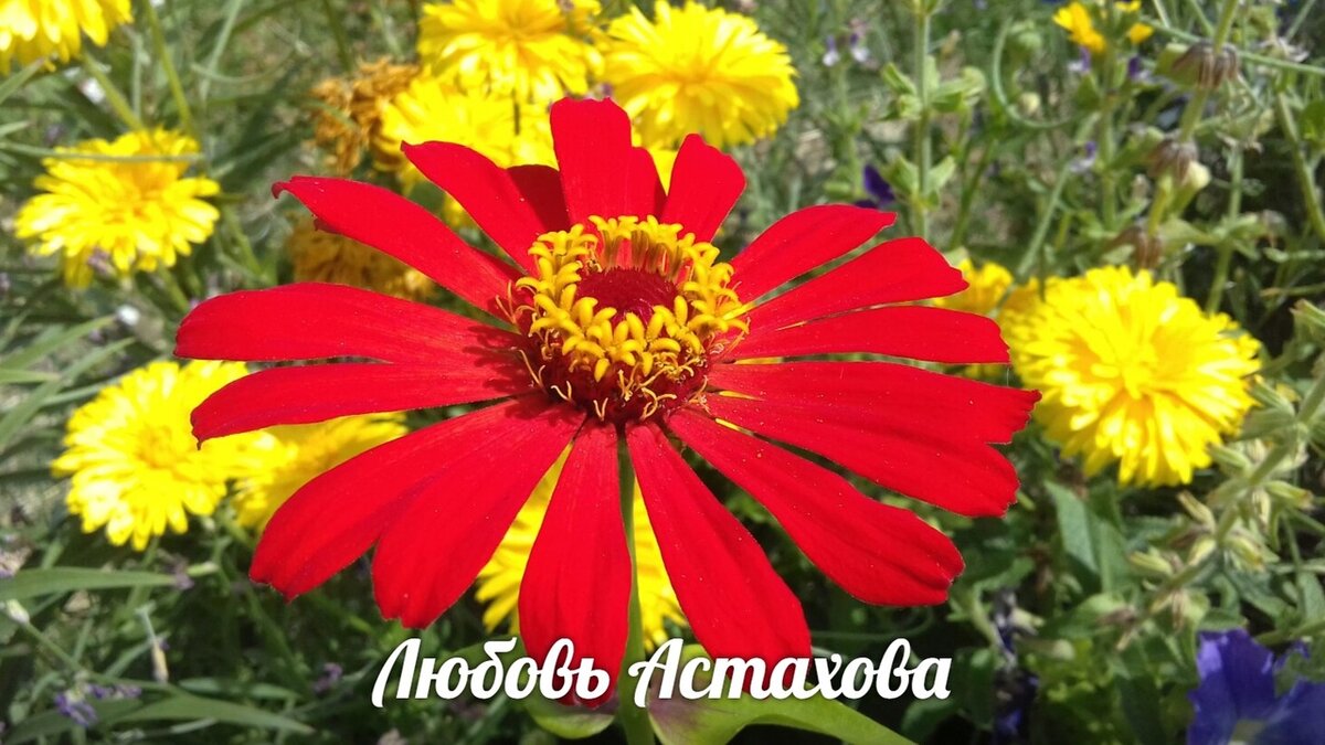 Когда любовь к себе просыпается в сердце, всё вокруг становится необыкновенно прекрасным, понятным и восхитительно близким. Любовь к себе не расширяет границы, она обнаруживает тот факт, что их никогда не было. 