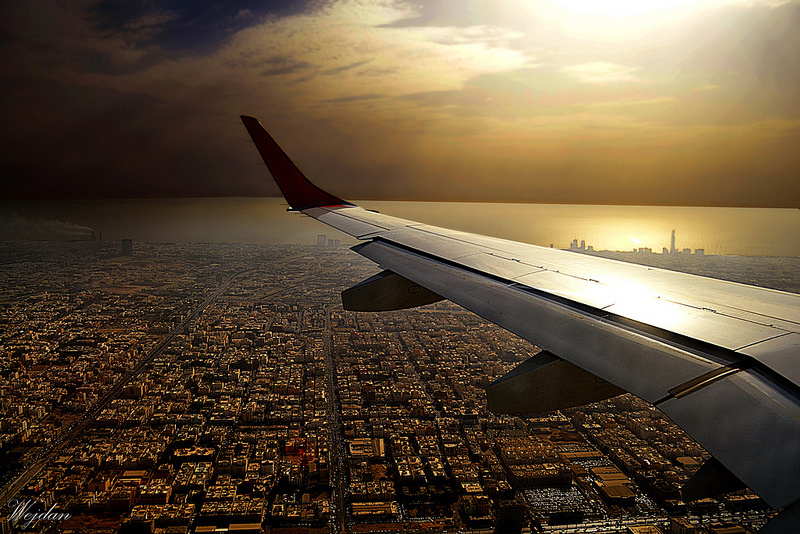 фото catsmob.com