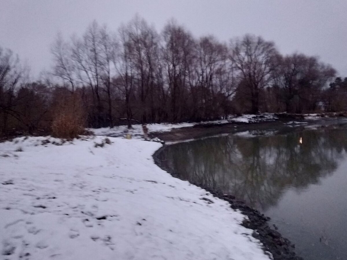 Осенний карась. Возможно ли его поймать в Сибири в конце октября? (часть 1)