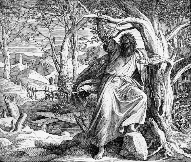 Фото из открытых источников