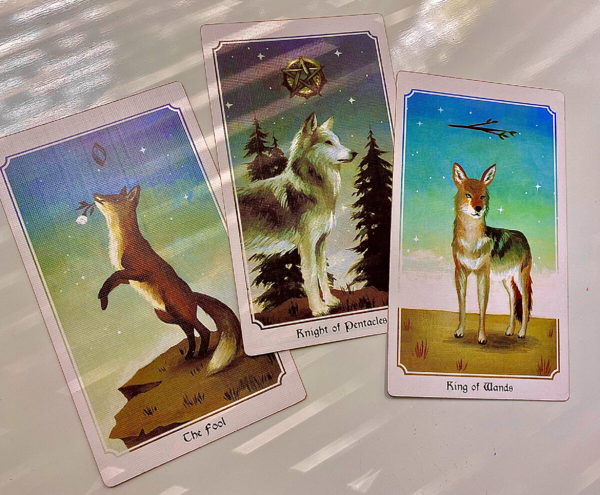 Что думает, таро "Anima Mundi"