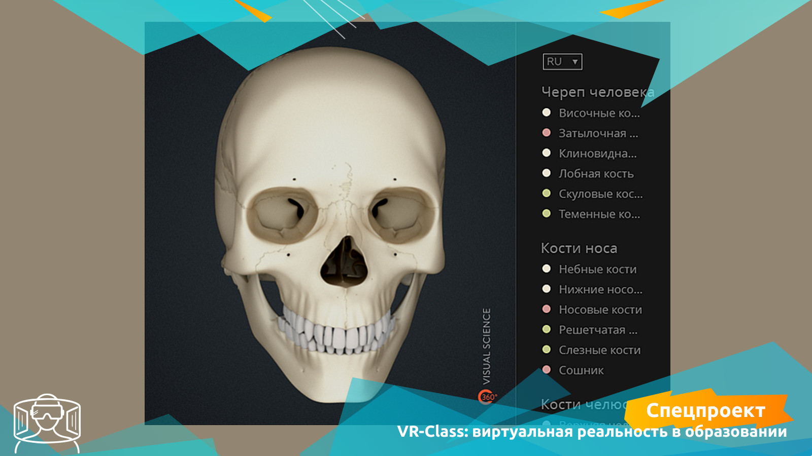 Компания разработала серию видеороликов формата 360° и плакатов с дополненной реальностью для наглядного изучения вирусов и с