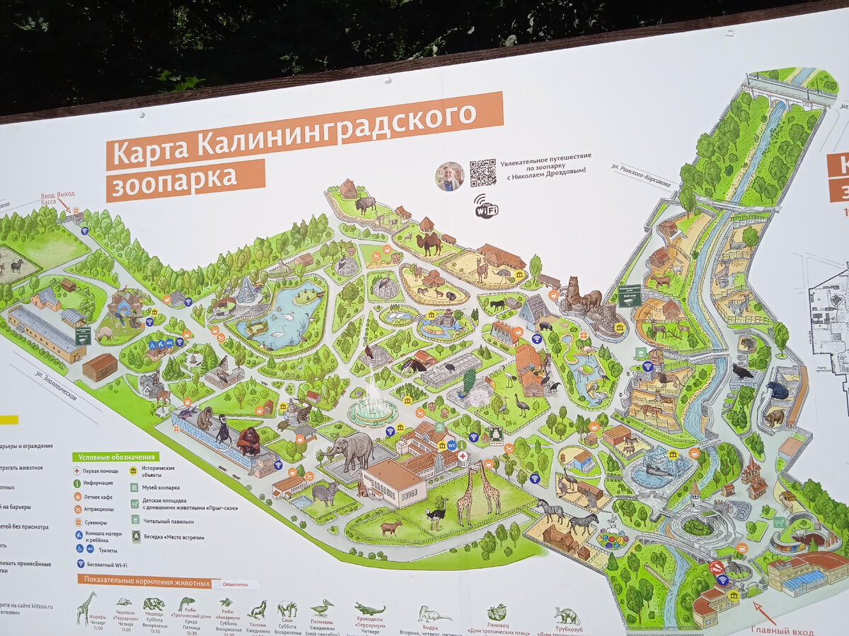 Схема зоопарка новосибирск. Калининградский зоопарк Калининград карта. План зоопарка Калининград. Карта зоопарка Калининград. Зоопарк Калининград схема.