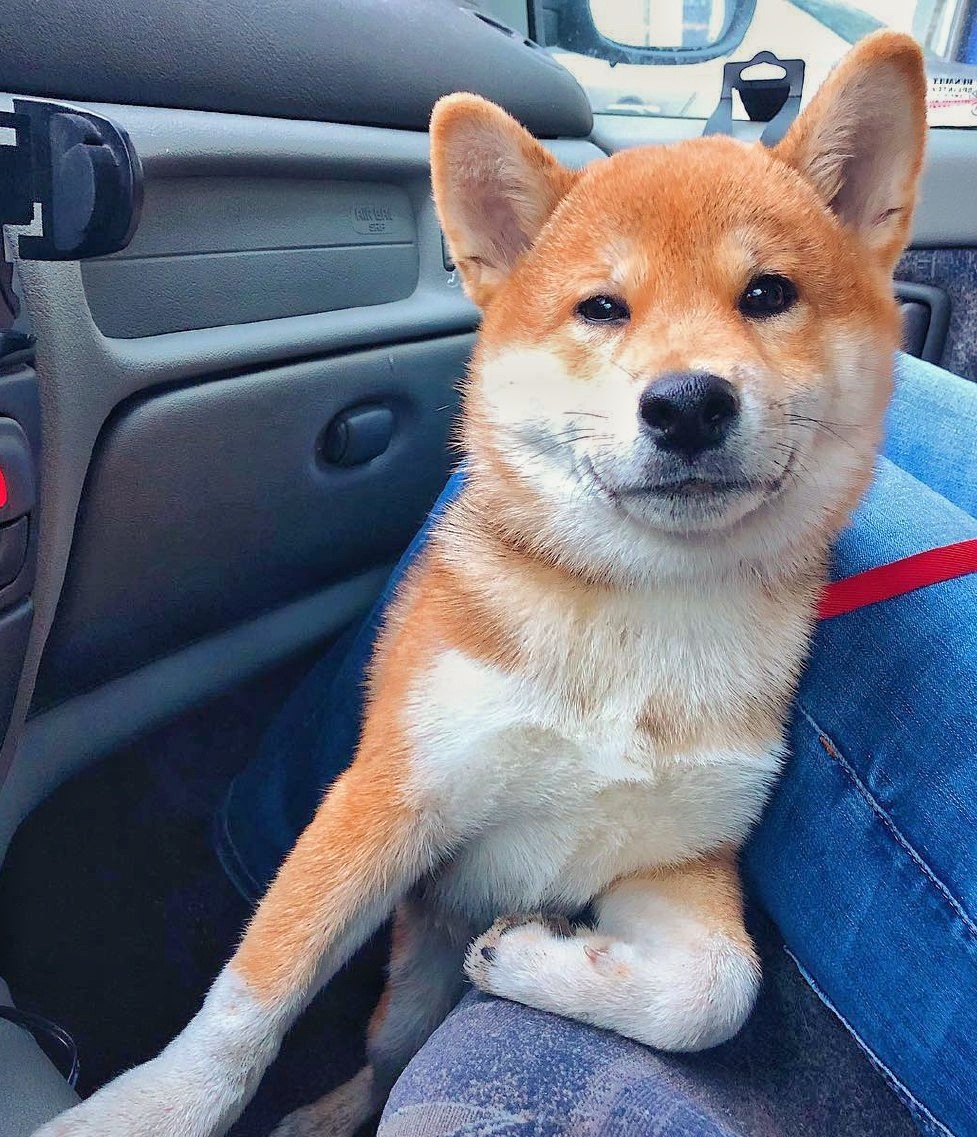 "Я чет не понял, а когда мы доедем?" 