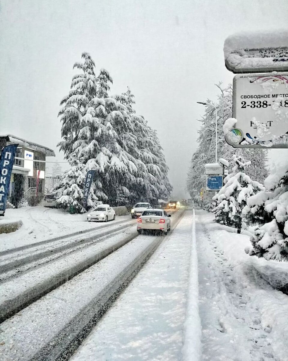 зима в сочи