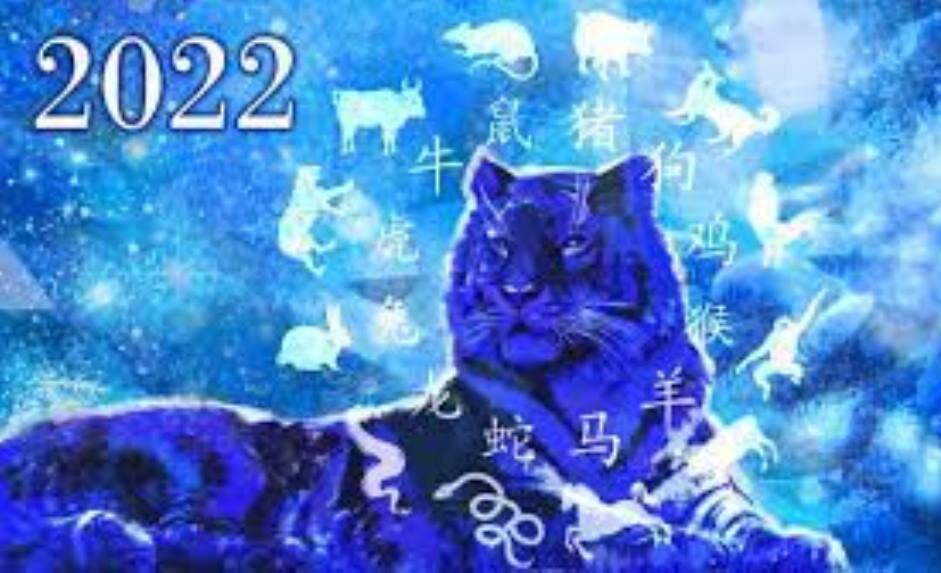 Фото из открытого источника