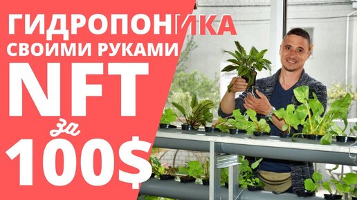 Как самому сделать раствор для гидропоники| Интернет магазин Growpro