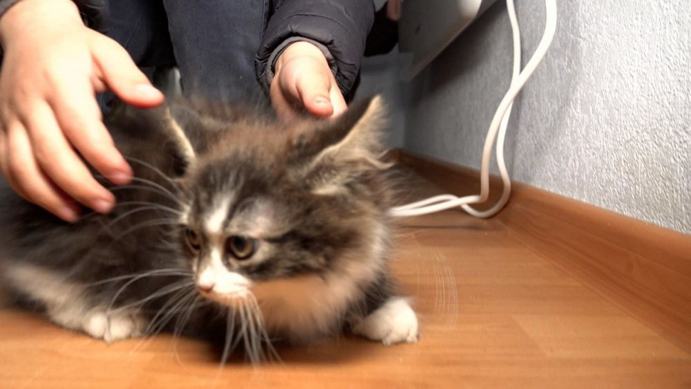 Новоселье. Фото: С. Федоров