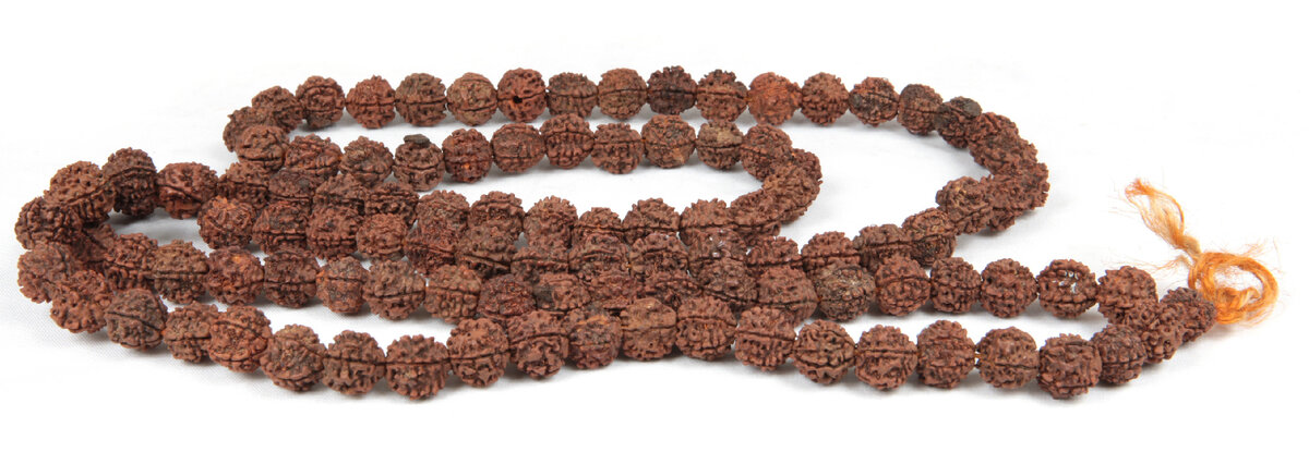 Четки Индия. ХХ в. Плоды дерева рудракша. Из собрания Государственного музея истории религии