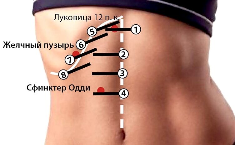 Упражнения для правильного расположения брюшных органов