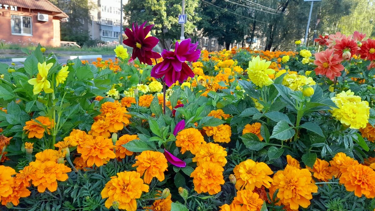 Фото моё