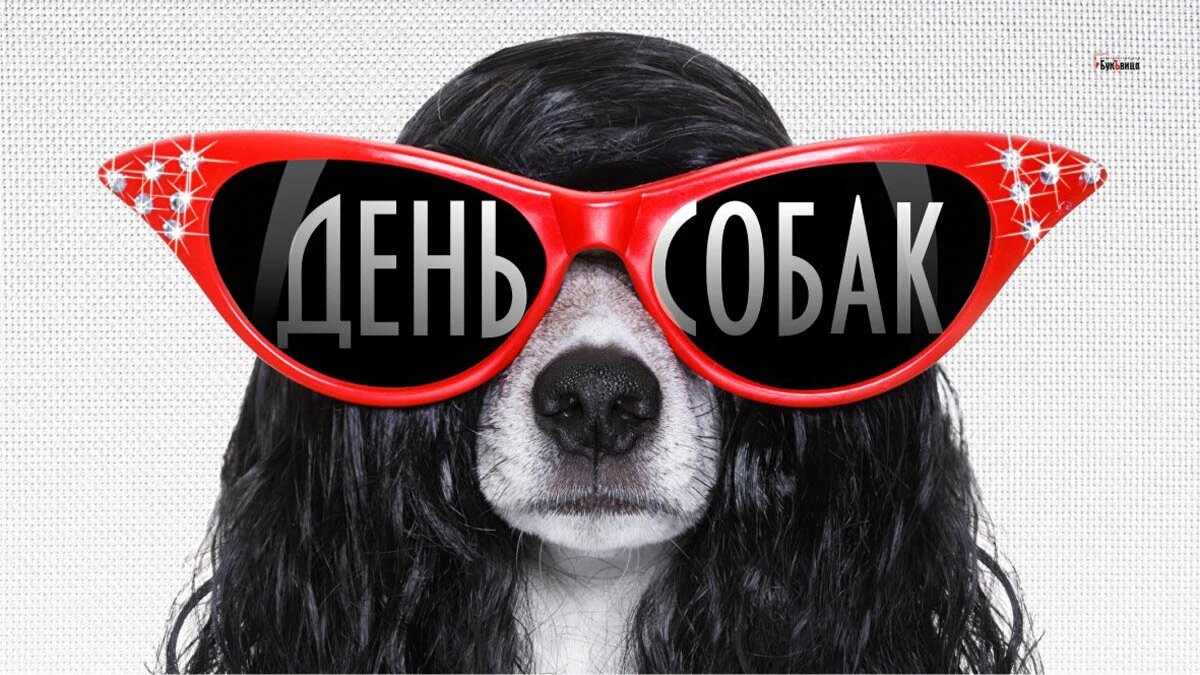 День собак. Иллюстрация: «Курьер.Среда»