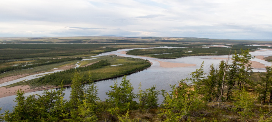 Рассоха. Фото из открытых источников