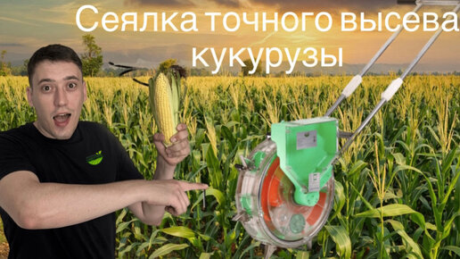 УЗНАТЬ ЦЕНУ