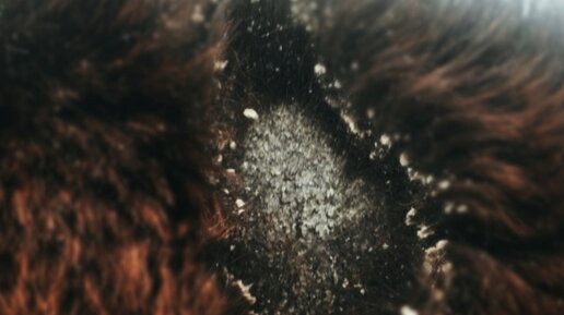 Профилактика