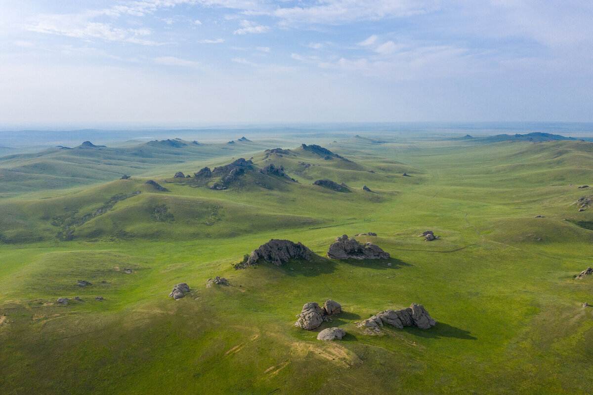 В Даурском заповеднике обитает около тысячи видов бабочек!