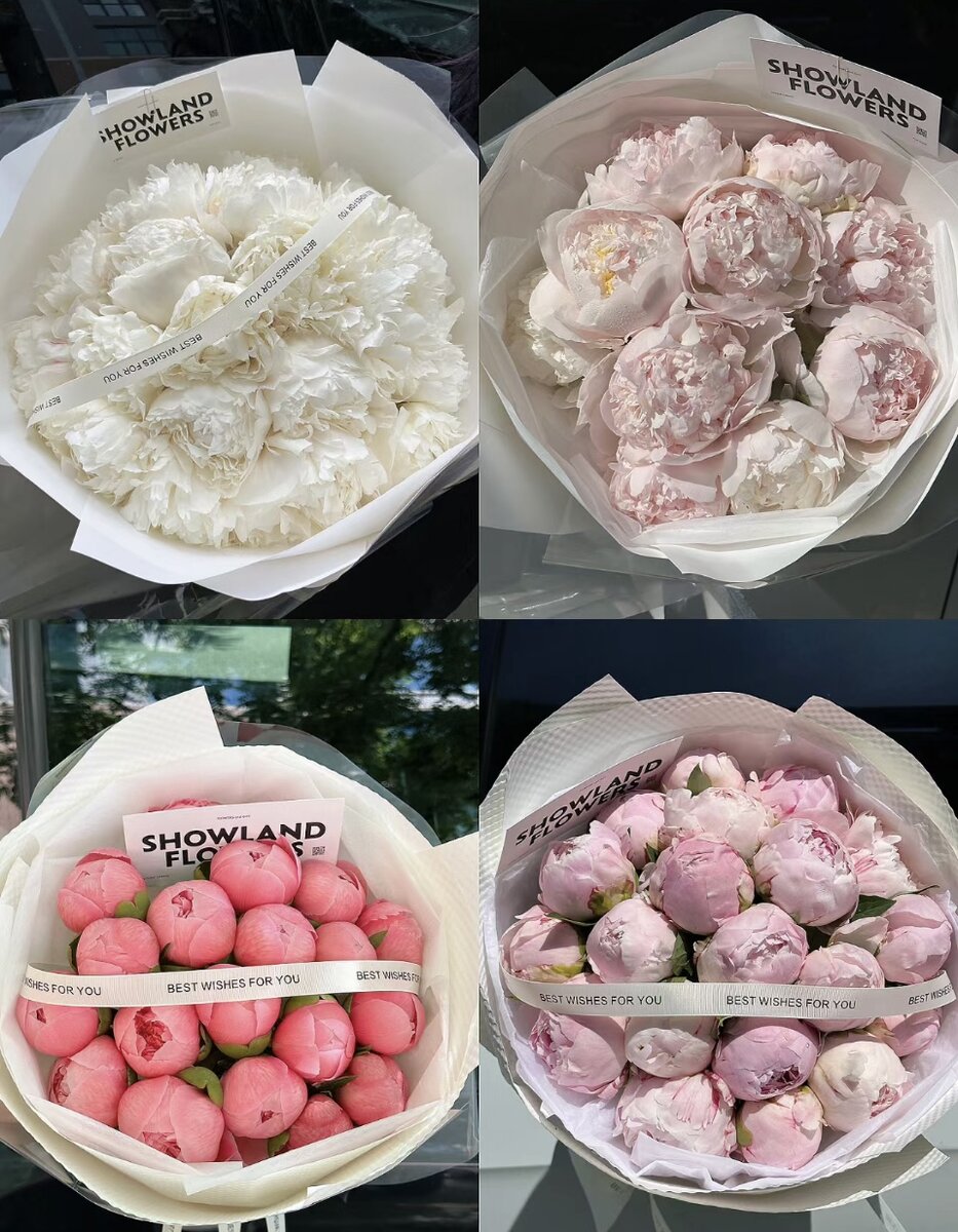 许多芍药