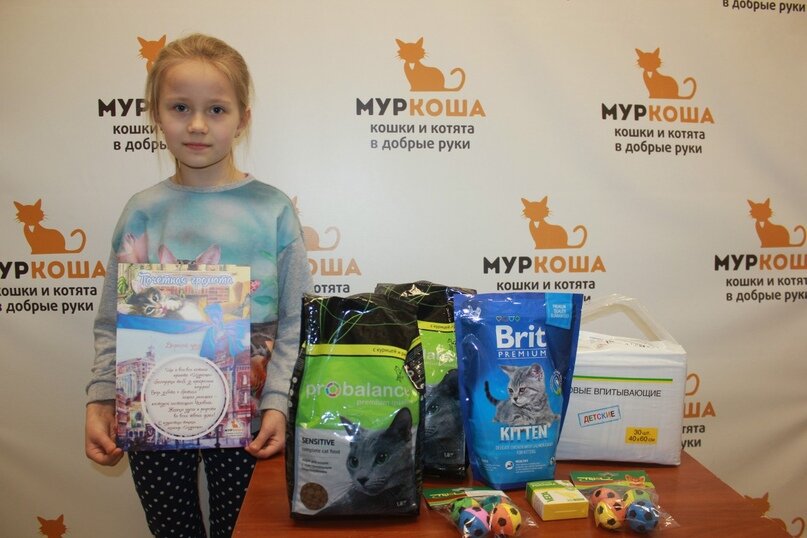 Спешите творить добро, берите котиков домой! 