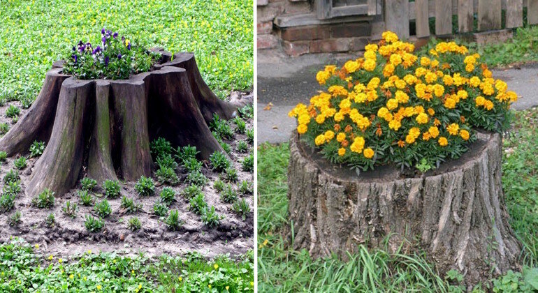Что сделать с пнем. Декор пня на даче. Пеньки для декора в саду. Пень в саду декор. Клумба рутарий.