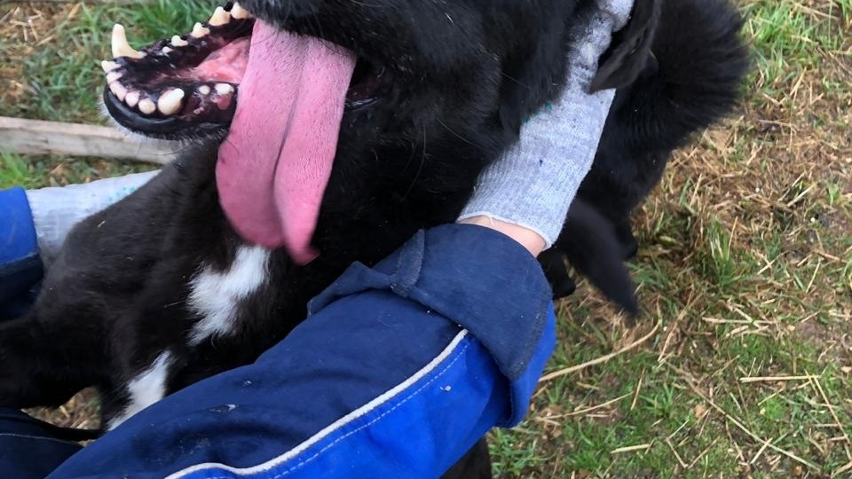 Брют, парень с открытой душой