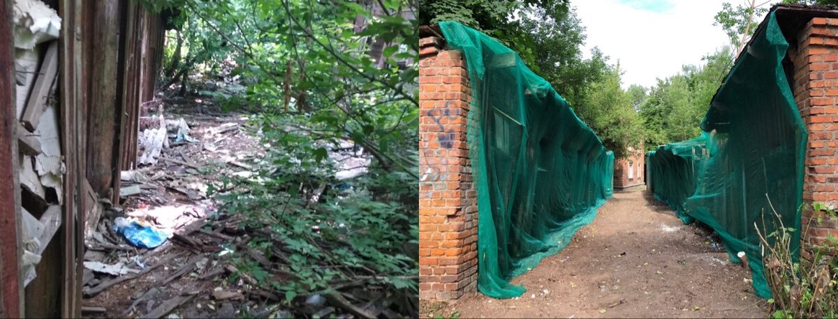 Фото, видео: Валерия Майорова 