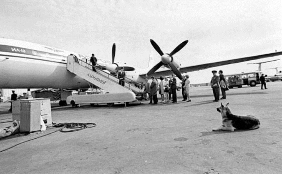 Пальма встречала все самолеты "Ил-18" https://tricolortvmag.ru/upload/a6f1cc/2200321_original-vtet06.png