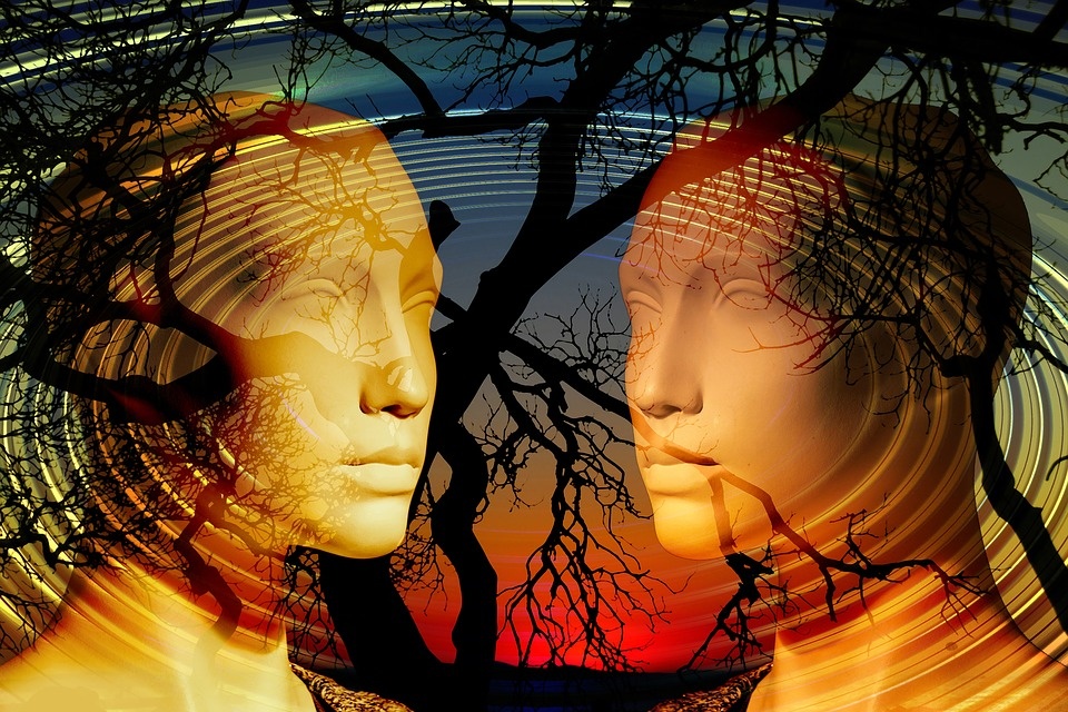 https://pixabay.com/ru/illustrations/%D0%BF%D1%81%D0%B8%D1%85%D0%BE%D0%BB%D0%BE%D0%B3%D0%B8%D1%8F-%D0%BB%D0%B8%D1%86%D0%BE-%D0%B4%D0%B8%D0%B0%D0%BB%D0%BE%D0%B3-2001850/