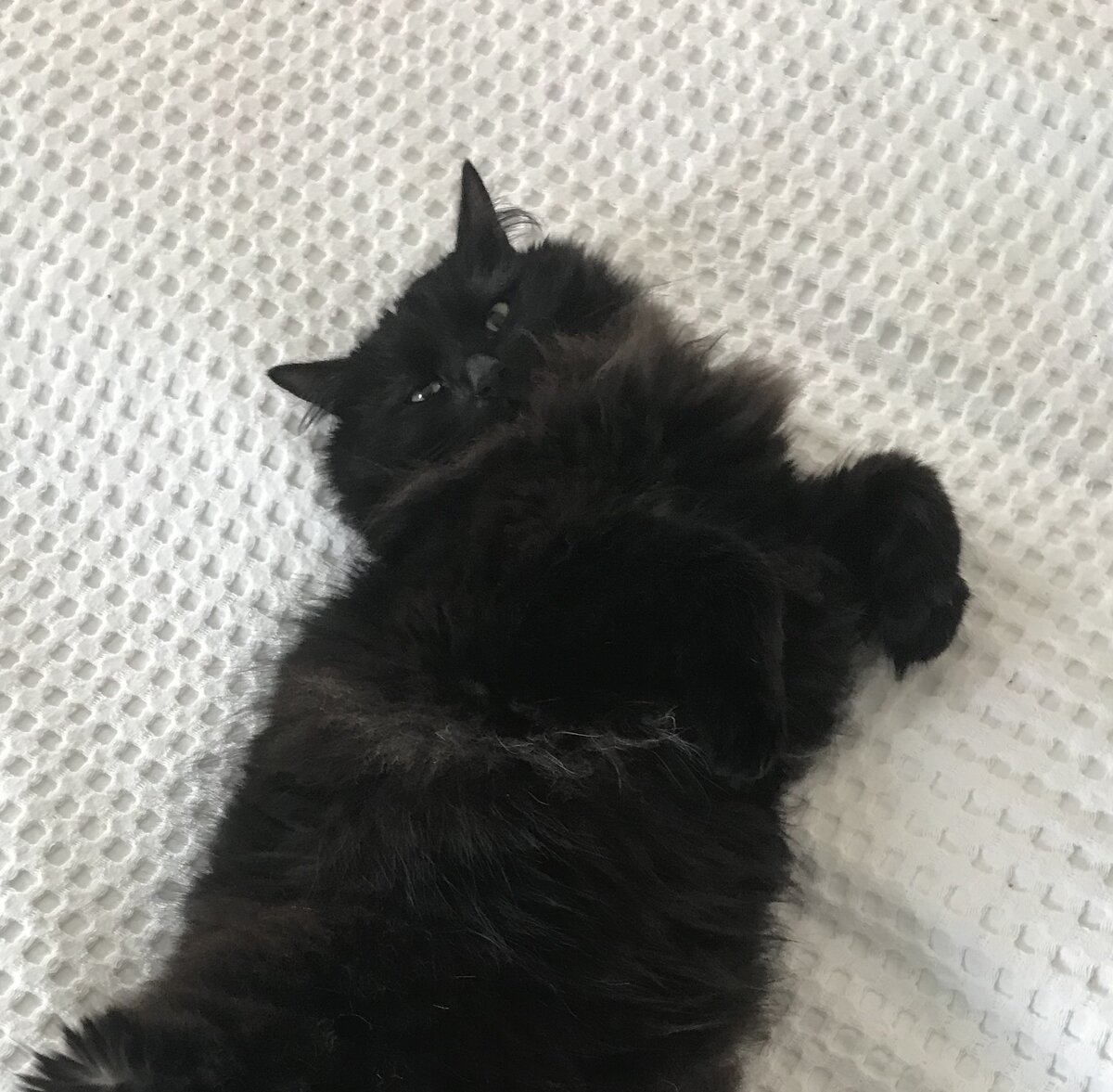 Листай вправо