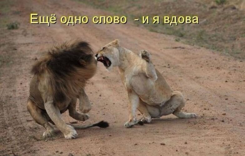 Высокие отношения в семье !