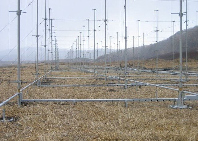 Источник фото: https://ok.ru/manzal/topic/70101131594506