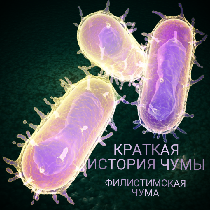 Создано с использованием материалов из открытых источников