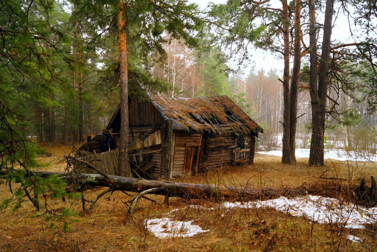 Хижина лесника зима