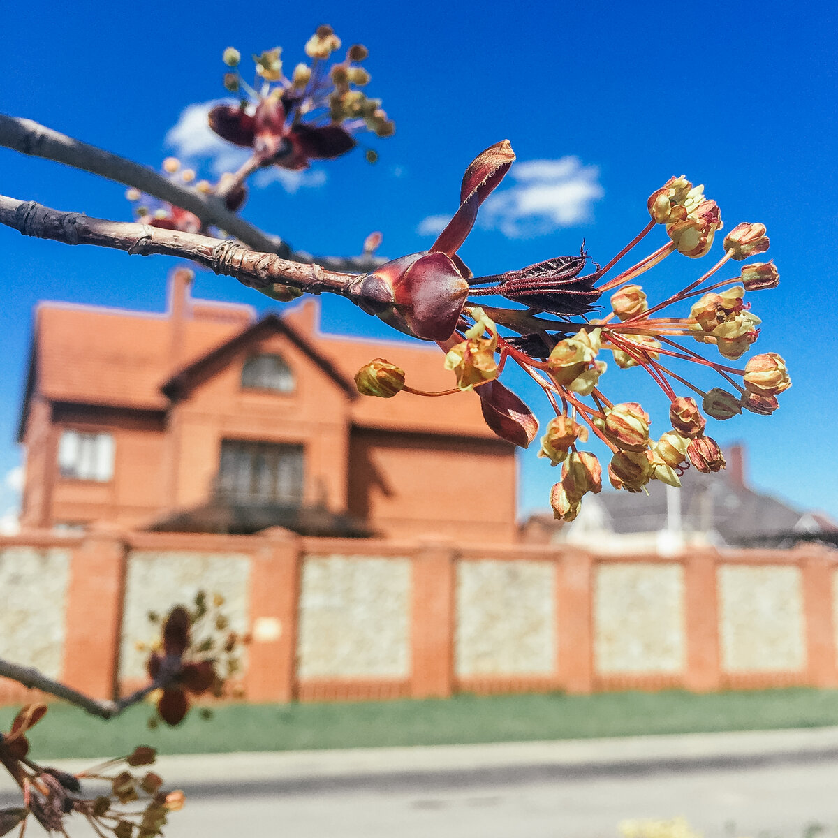 улица Солнечная, Краснодар