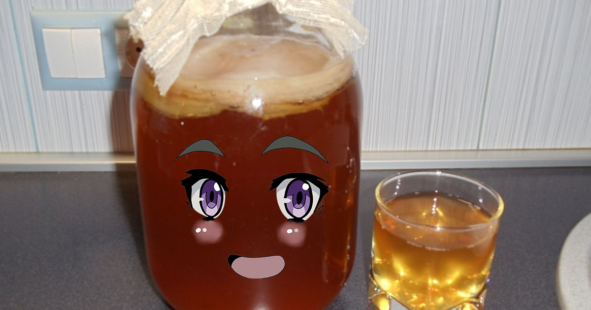 Чайный гриб