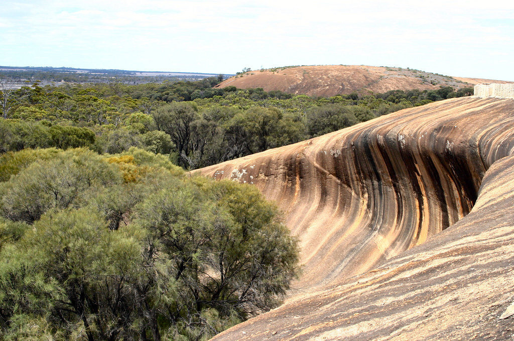 Фото: Яндекс картинки