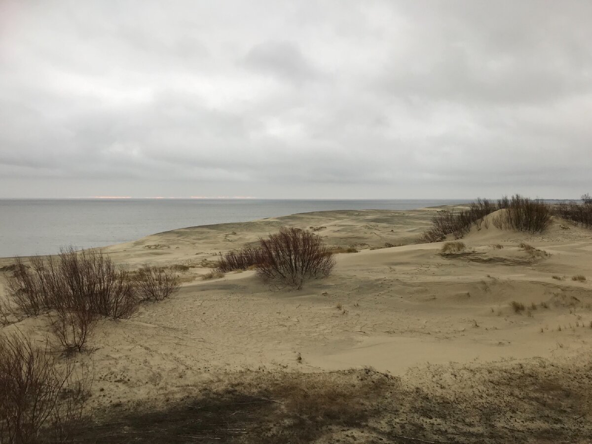 Фото с личного архива, высота Эфа, вид со стороны залива