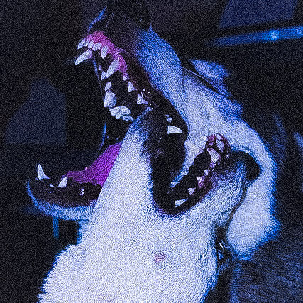 Редактидактирую фотографии 24/7