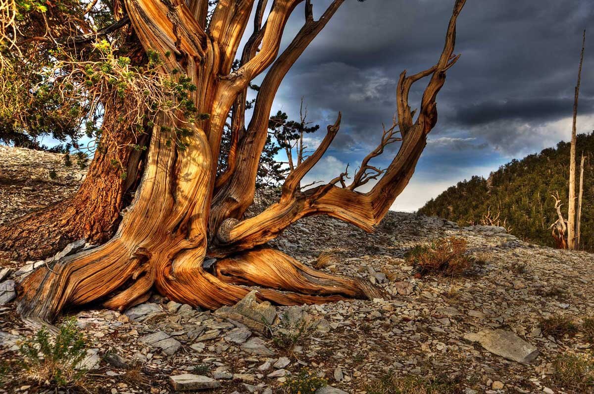 Фото с Интернета