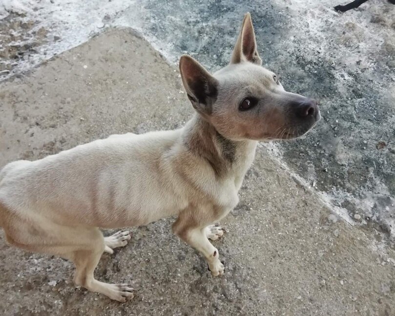 Сколько надежды в этих глазах!