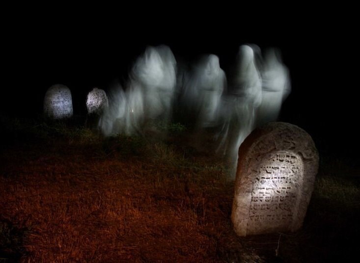 Фото из открытого источника