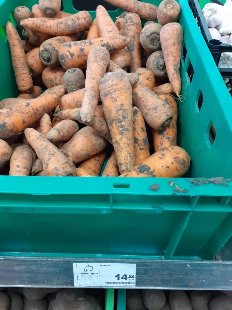 Морковь с грядки, 15руб/кг