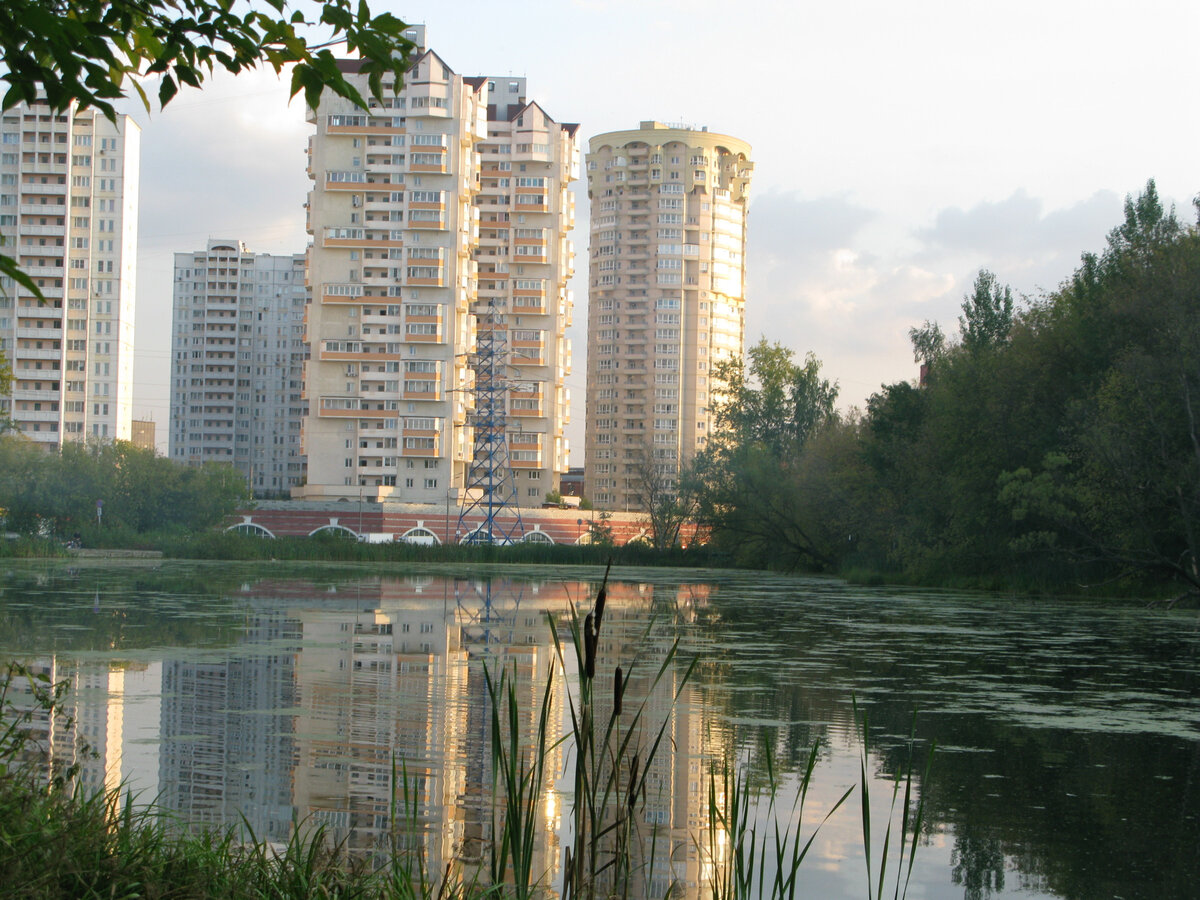 Богородский пруд Москва