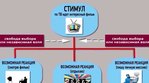 7 навыков высокоэффективных людей. Навык третий: Сначала делайте то, что необходимо делать сначала