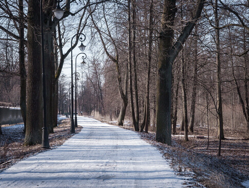 Парк знаменский